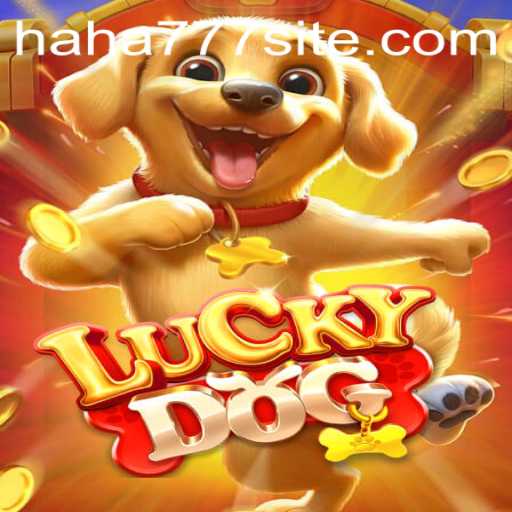 Unveiling LuckyDog: The Game of Chance and Strategy